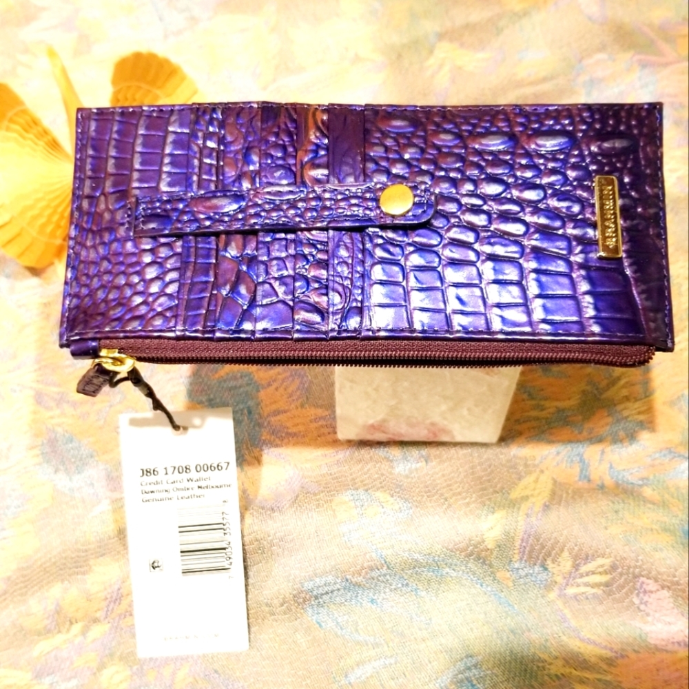 Brahmin CC Wallet in  Dawning Ombre Melbourne, NWT Item # 131